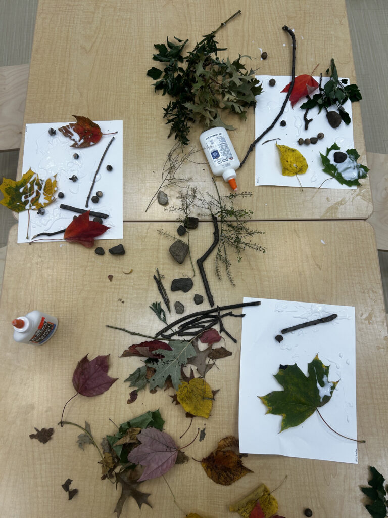 provocations nature tools