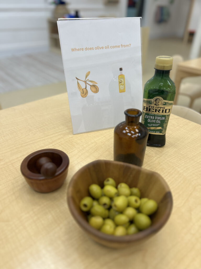 provocations olive to oil